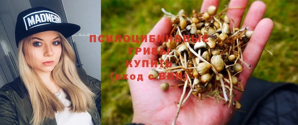 скорость Верхний Тагил